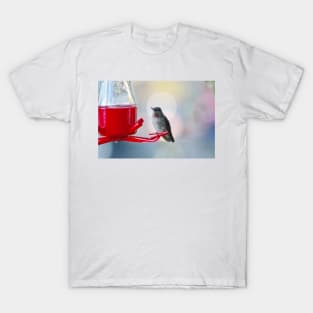 Hummingbird sun halo T-Shirt